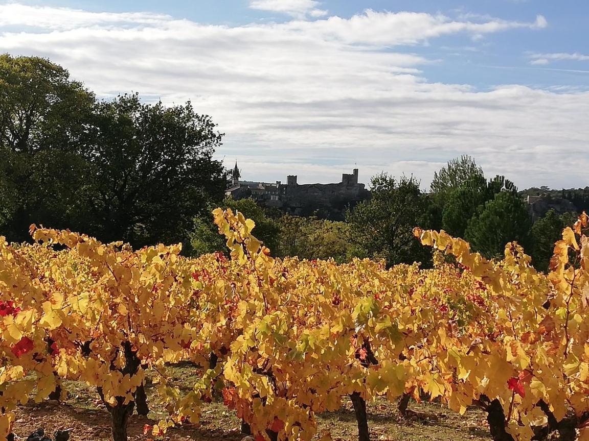 ホテル Espace Loisirs Saint-Martin-dʼArdèche エクステリア 写真