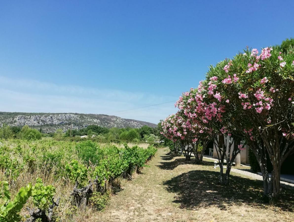 ホテル Espace Loisirs Saint-Martin-dʼArdèche エクステリア 写真